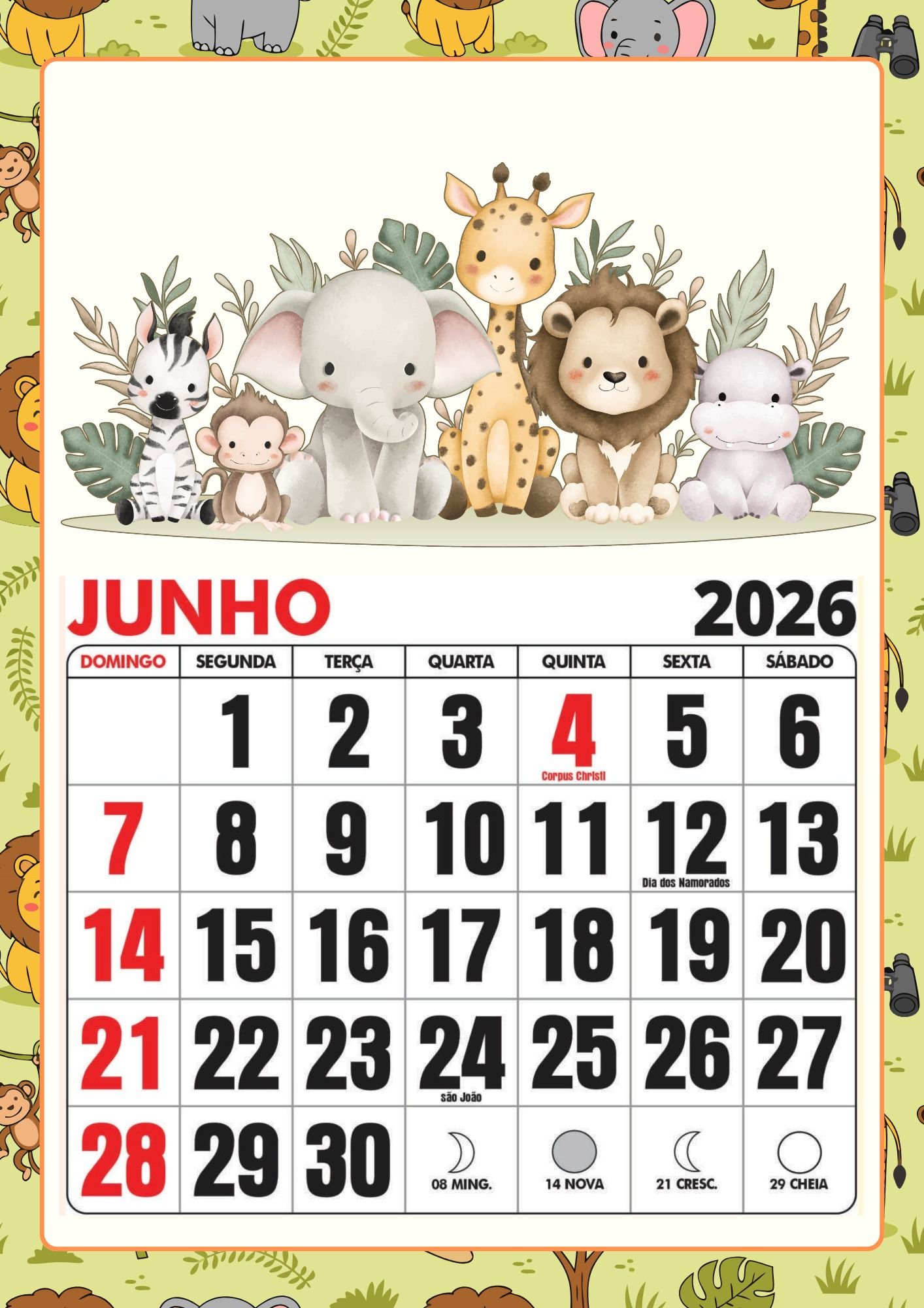 6_20260125_012914_0005